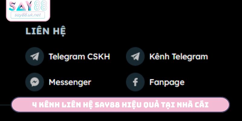 4 kênh liên hệ Say88 hiệu quả tại nhà cái say88