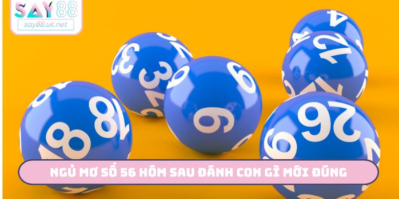 Soi cầu - Ngủ mơ số 56 hôm sau đánh con gì mới đúng