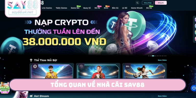 SAY88 ⭐️ Trang Chủ SAY88 | Nhà Cái Uy Tín, Đăng Ký Nhận +88K Tổng quan về nhà cái SAY88